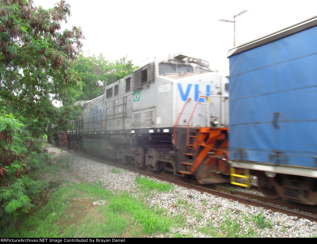 VLI 6039